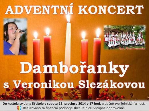 Adventni koncert 2014.jpg