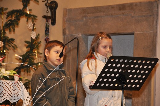 Beneficni koncert 23_1200x1600.jpg