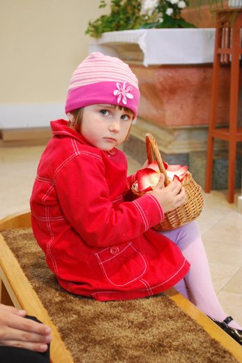 BT_2013_00010.jpg