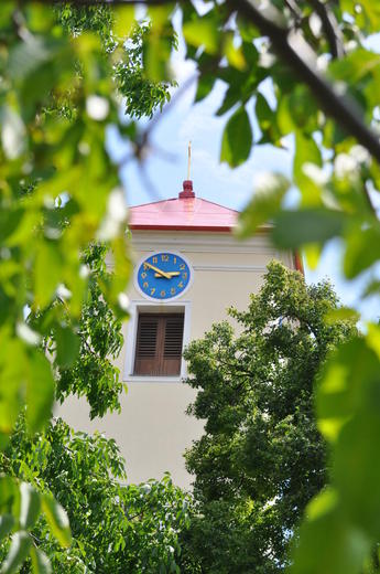 DSC_0043.jpg