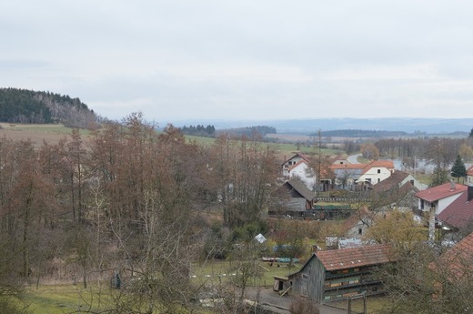 DSC_0344.JPG