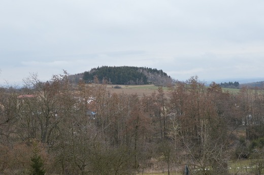 DSC_0345.JPG