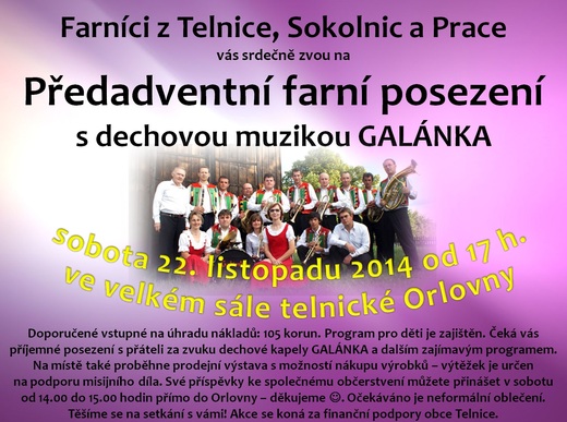 Farní ples 2014.jpg