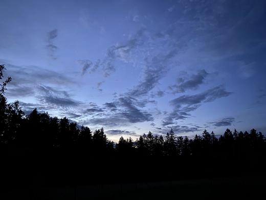 IMG_1742.jpg