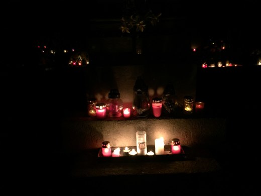 IMG_6328.jpg