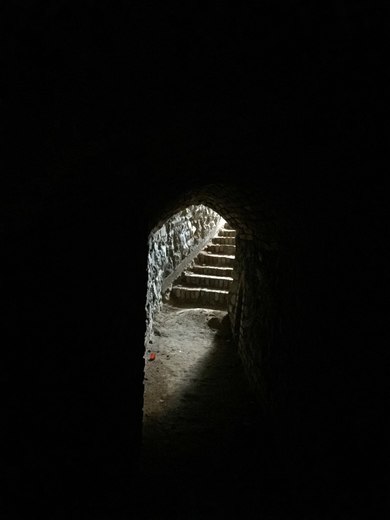 IMG_7674.jpg