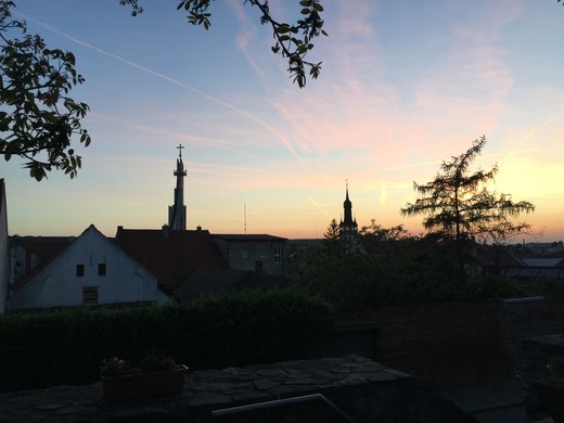 IMG_7707.jpg