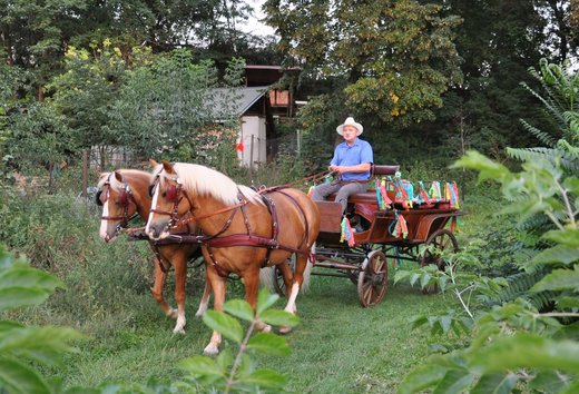 Jizda_kralu_015.jpg