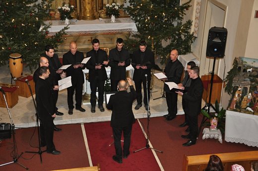 Koncert Prace 09.jpg