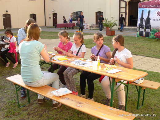 NK2015_Sokolnice_P1380310.jpg