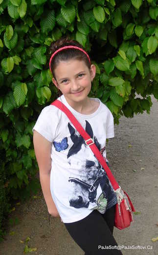 NK2015_Sokolnice_P1380362.jpg