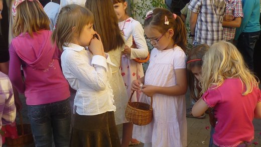 P1060031.jpg