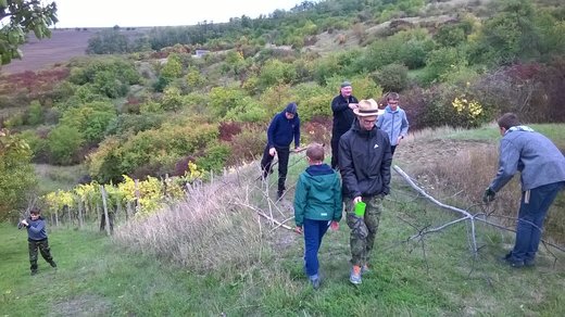 WP_20171008_15_17_36_Pro.jpg