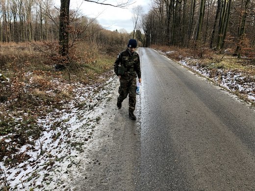 zal_43.jpg