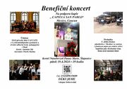 beneficni-koncert.jpg